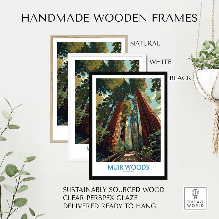 Handmade wooden frames in natural, white, and black styles for Muir Woods California poster, ready to hang.