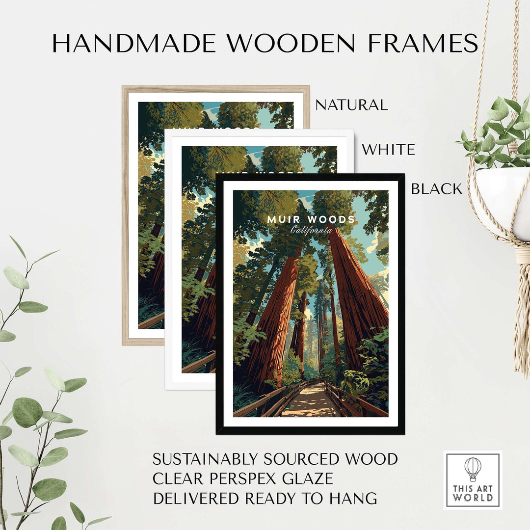 Handmade wooden frames in natural, white, and black, for Muir Woods California Redwood Forest trail print.