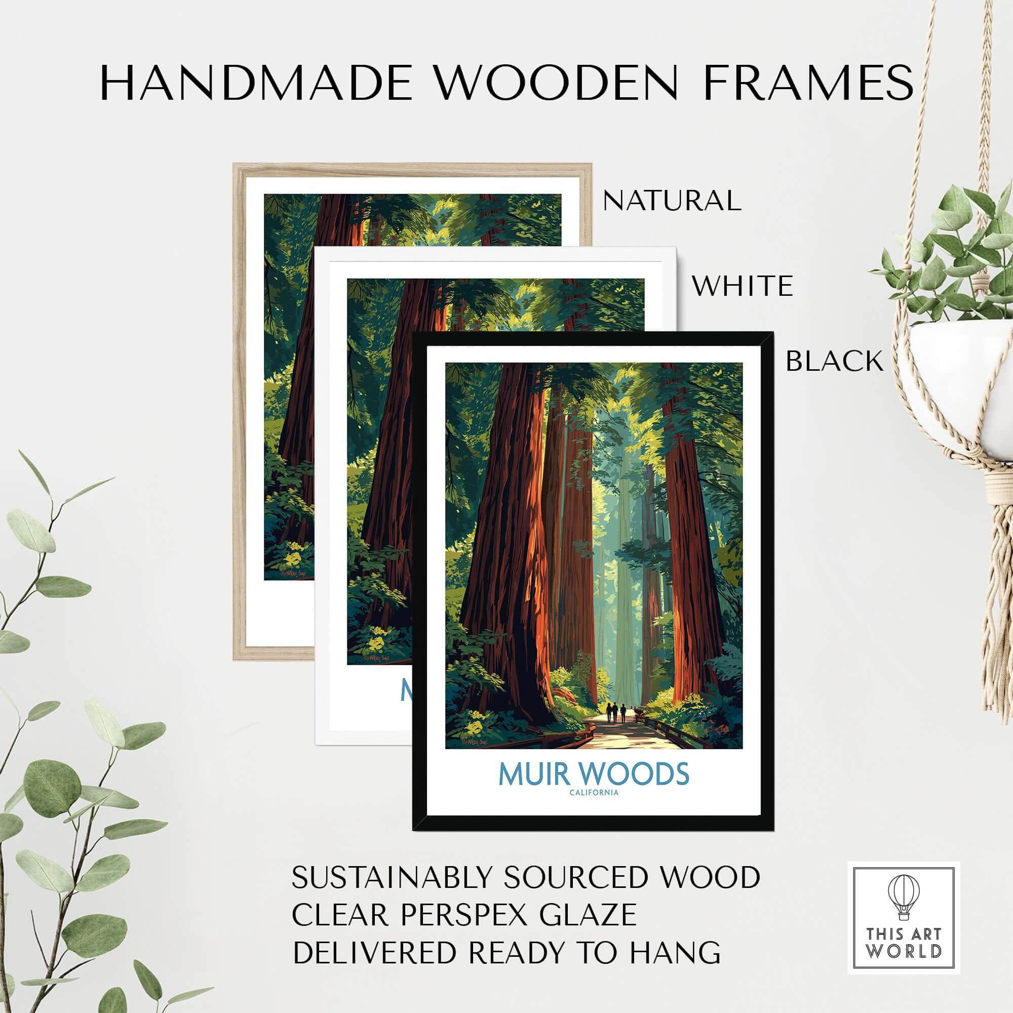 Handmade wooden frames for Muir Woods Print California - California National Park Wall Art in natural, white, and black.