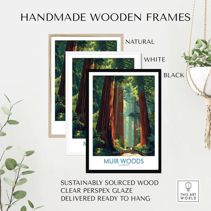 Handmade wooden frames for Muir Woods print in natural, white, and black finishes, showcasing California's redwoods.