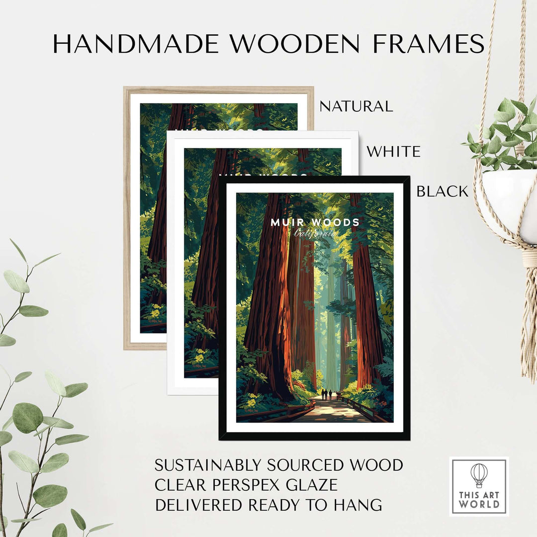 Handmade wooden frames in natural, white, and black for Muir Woods poster, made with sustainably sourced wood.