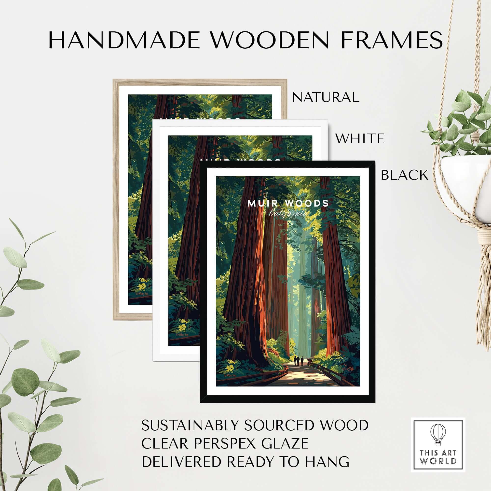 Muir Woods Poster California - Redwood Wall Art in handmade wooden frames, showcasing natural, white, and black options.