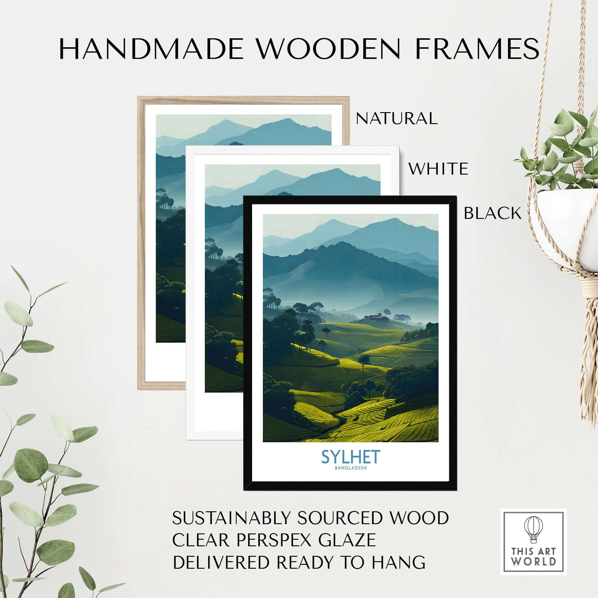 Sylhet Bangladesh Poster - Tea Plantation Fields Artwork framed in handmade wooden frames in natural, white, and black finishes.