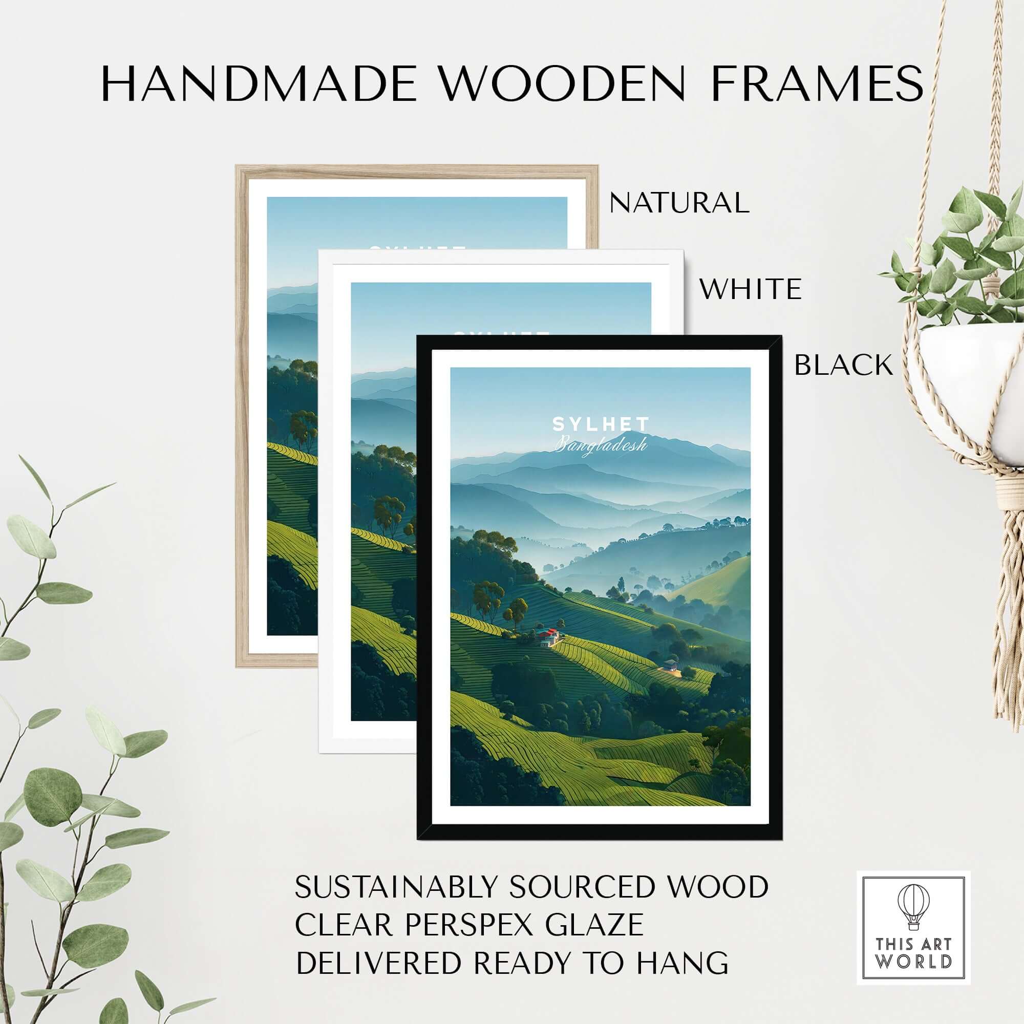 Sylhet Bangladesh Tea Fields Print - Serene Hillside Landscape Poster framed in handmade wooden frames in natural, white, and black.