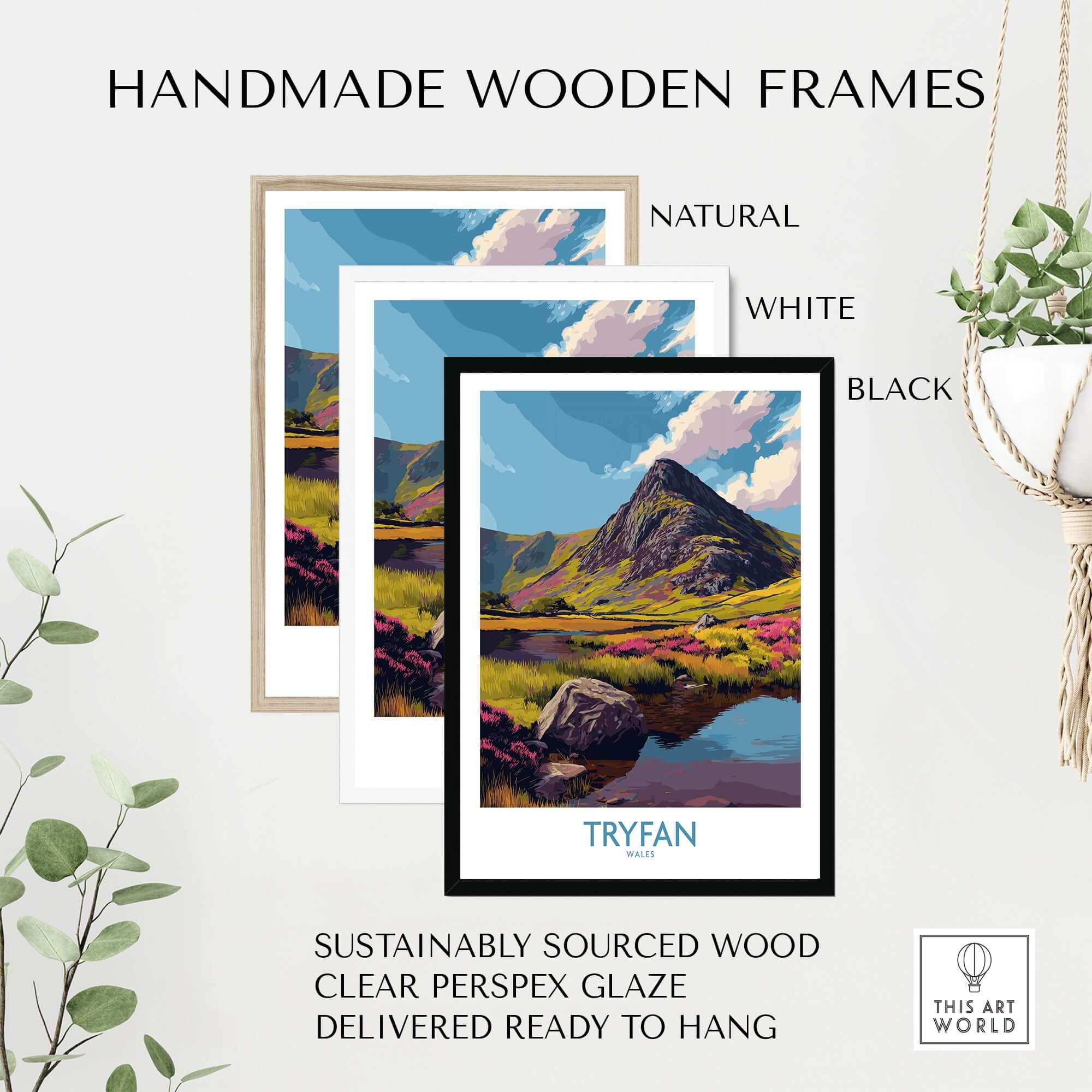 Tryfan Wales Heather Fields Peak Poster - Welsh Wilderness Decor framed in handmade wooden frames in natural, white, and black.