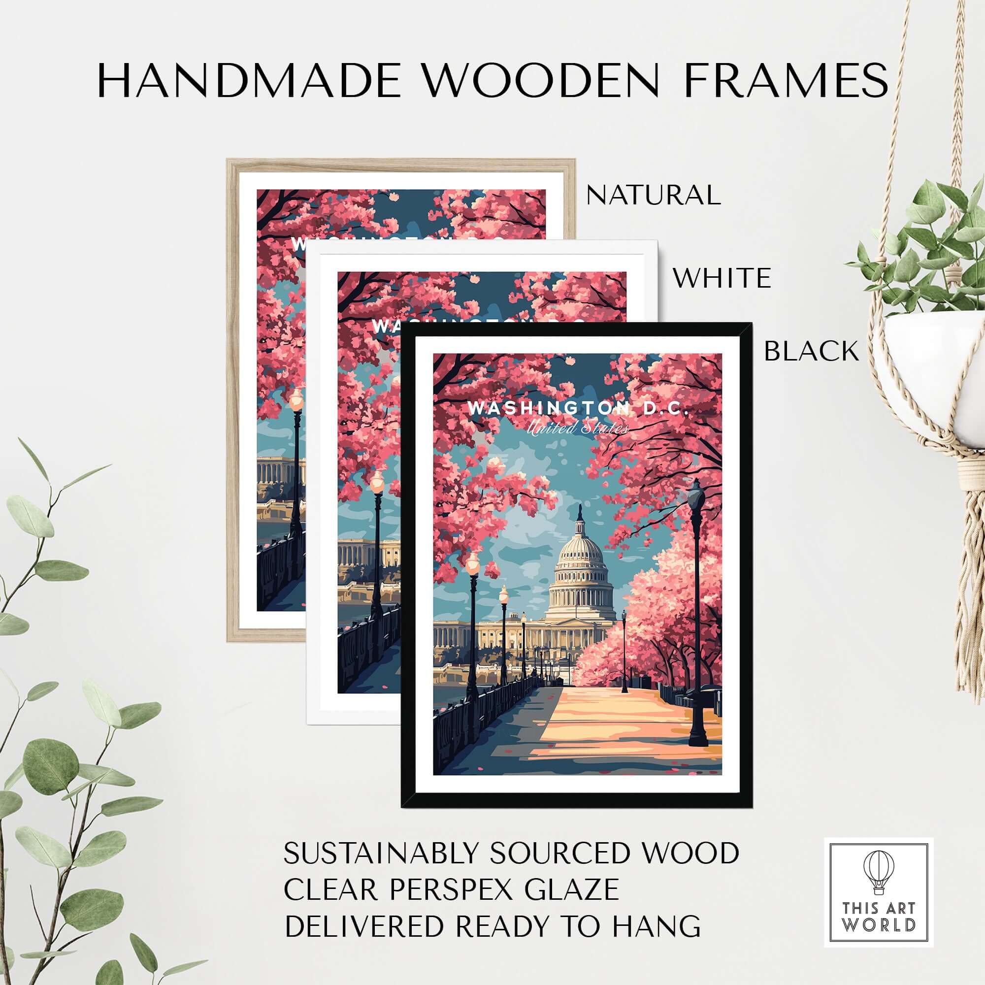 Handmade wooden frames for Washington D.C. Cherry Blossom Capitol Print - Springtime US Landmark Poster in natural, white, and black.