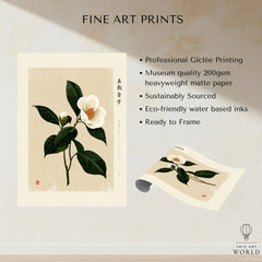 White Camellia Wall Art – Minimalist Japanese Botanical Print — fine art print unframed quality details