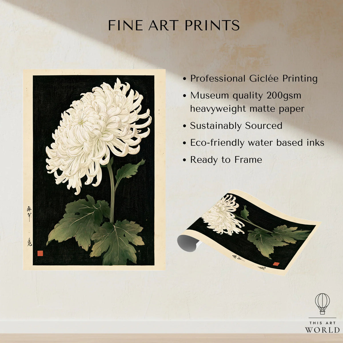 White Chrysanthemum Wall Art – Black Japanese Botanical Print — fine art print unframed quality details