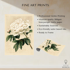 White Peony Art Print – Vintage Japanese Botanical Wall Art — fine art print unframed quality details