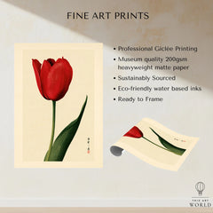 Red Tulip Art Print – Vintage Japanese Botanical Wall Art — fine art print unframed quality details
