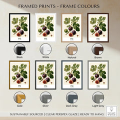 Fig Botanical Kitchen Wall Art - framed print colour options