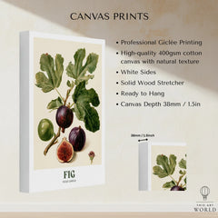 Fig Botanical Kitchen Wall Art - canvas print stretched cotton canvas details