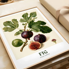 Fig Botanical Kitchen Wall Art - framed art print closeup gift unwrapped natural frame