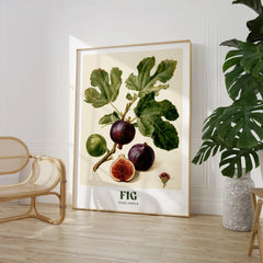 Fig Botanical Kitchen Wall Art - large framed print room setting chair plant