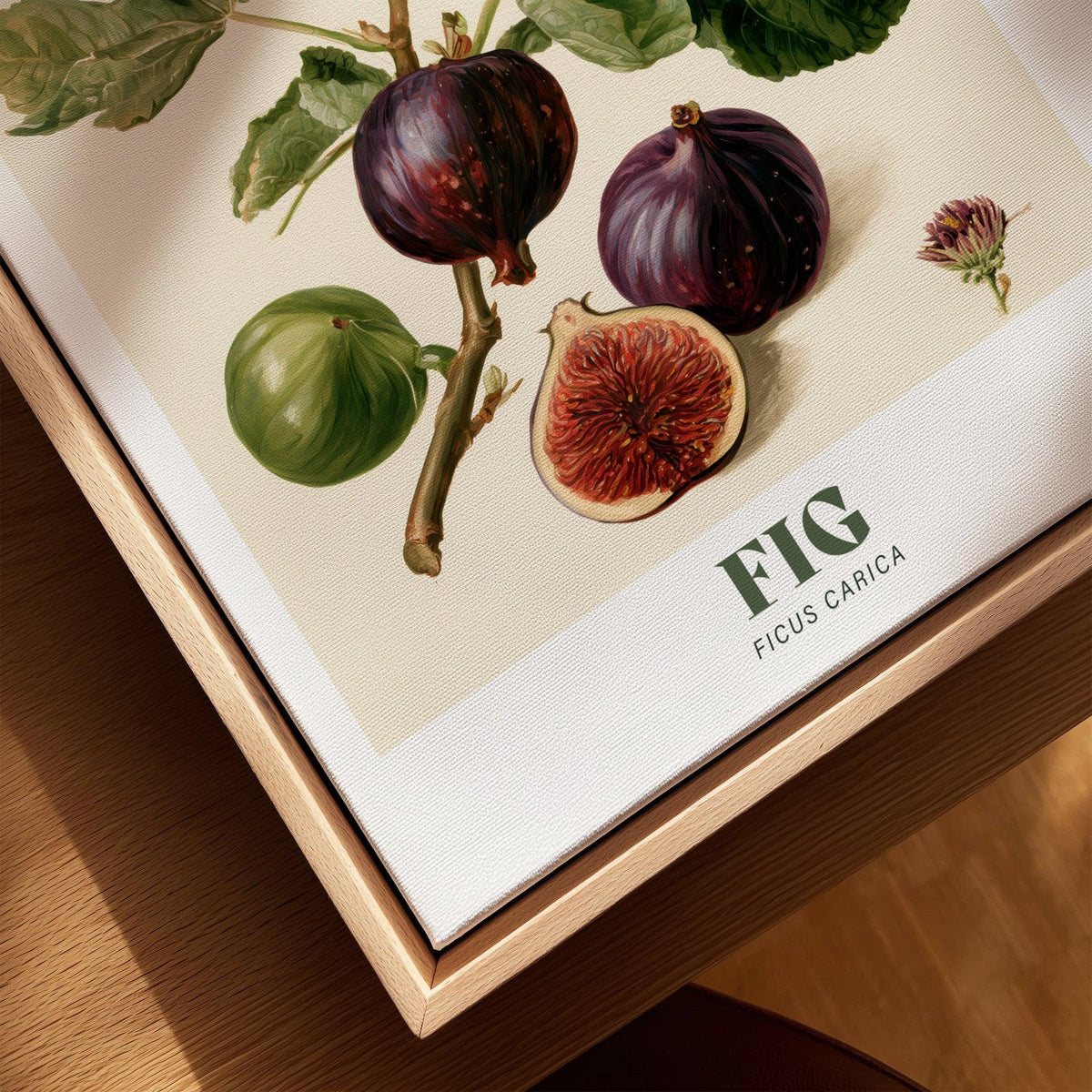 Fig Botanical Kitchen Wall Art - closeup framed canvas natural wood floating frame