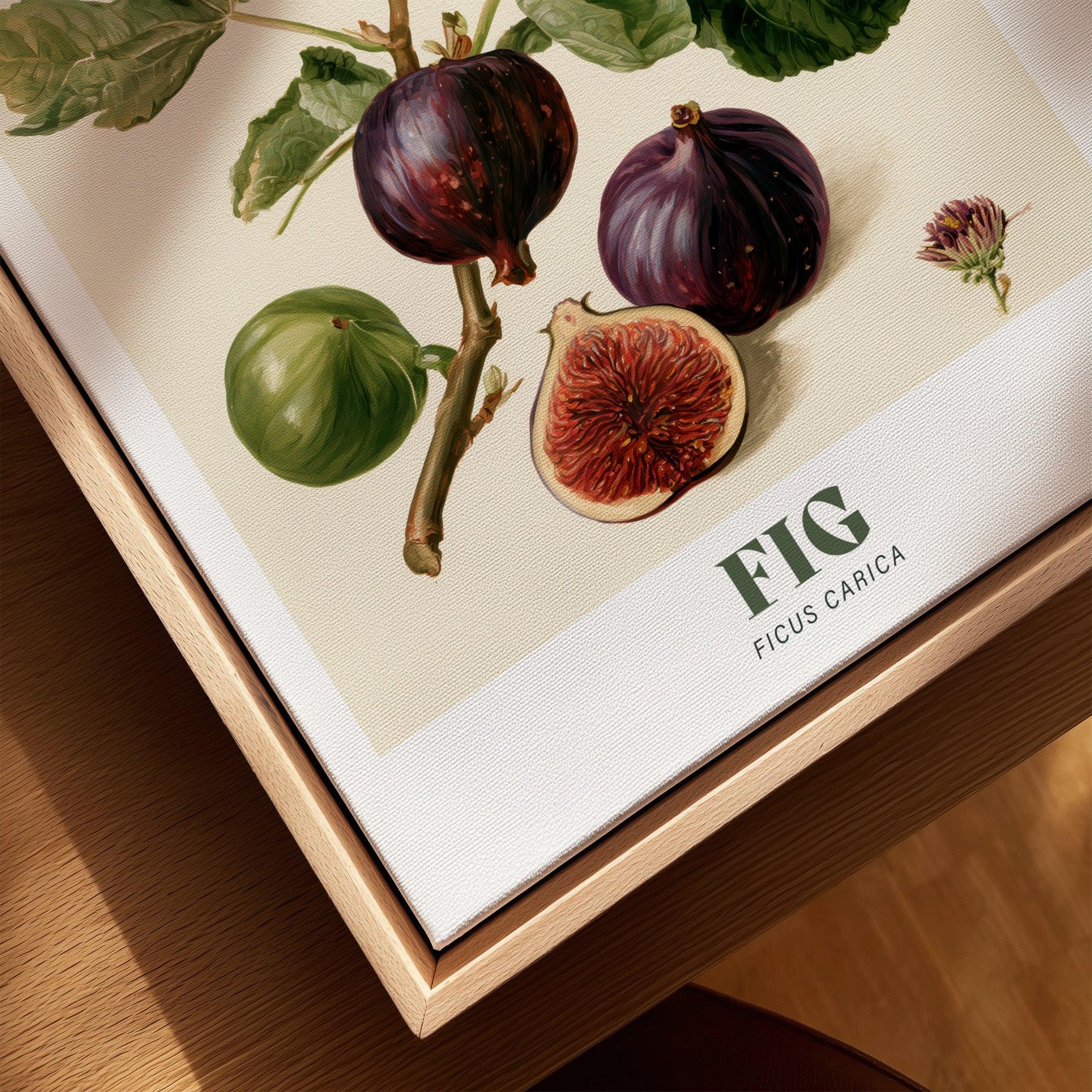 Fig Botanical Kitchen Wall Art - closeup framed canvas natural wood floating frame