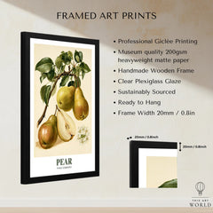 Pear Botanical Kitchen Wall Art - framed print details measurements quality details