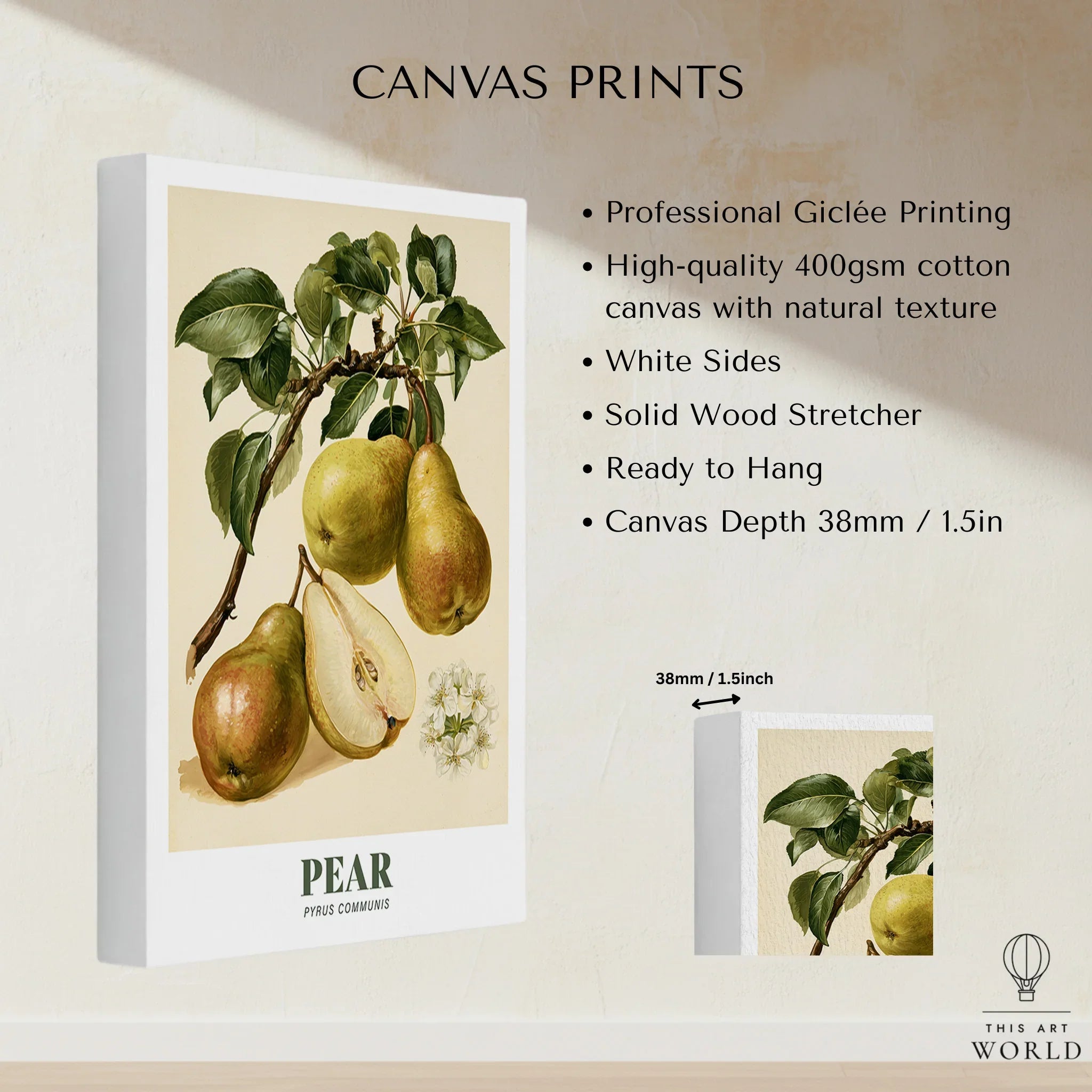 Pear Botanical Kitchen Wall Art - canvas print stretched cotton canvas details