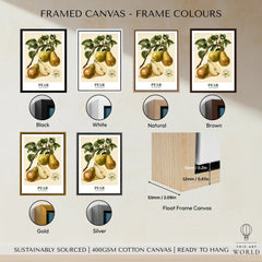 Pear Botanical Kitchen Wall Art - framed canvas float frame colour options