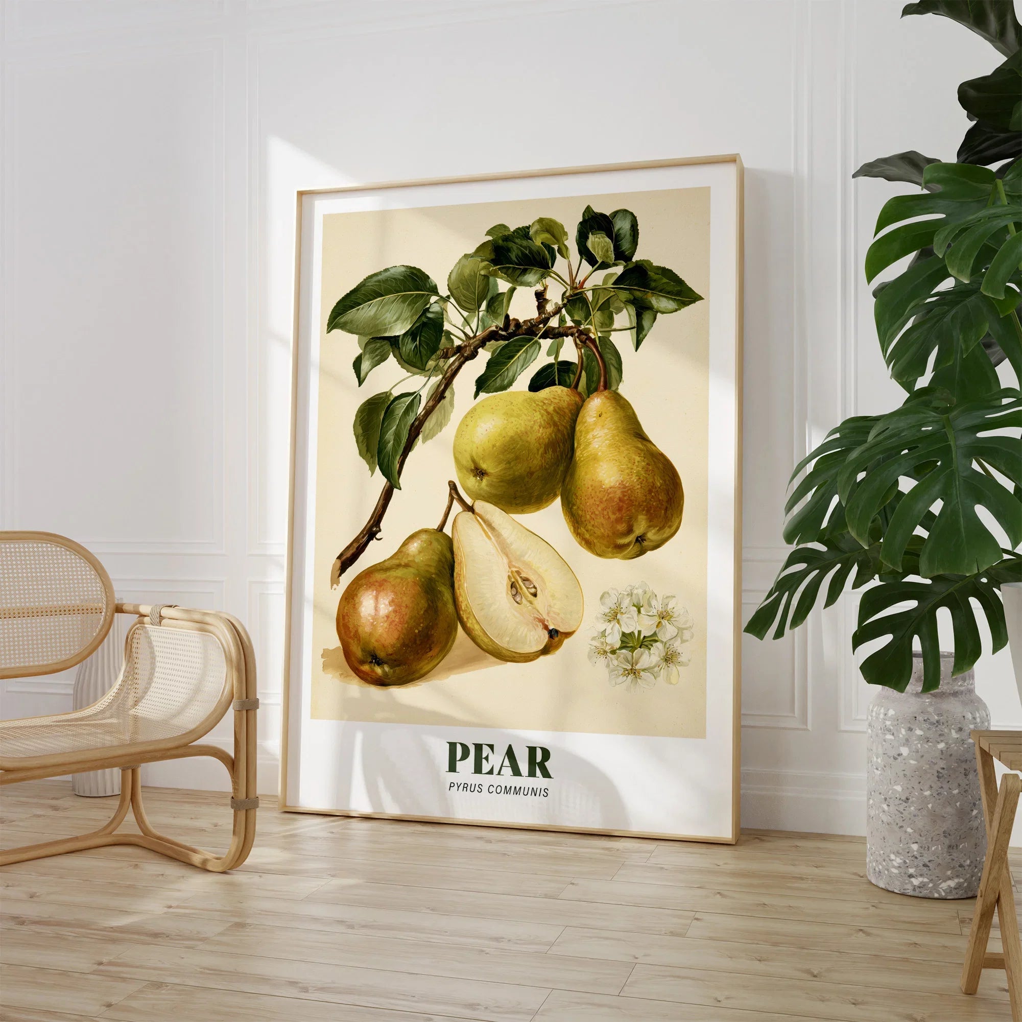 Pear Botanical Kitchen Wall Art - large framed print room setting chair plant