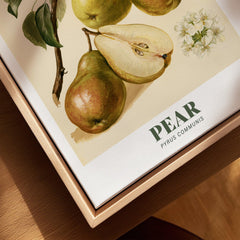 Pear Botanical Kitchen Wall Art - closeup framed canvas natural wood floating frame