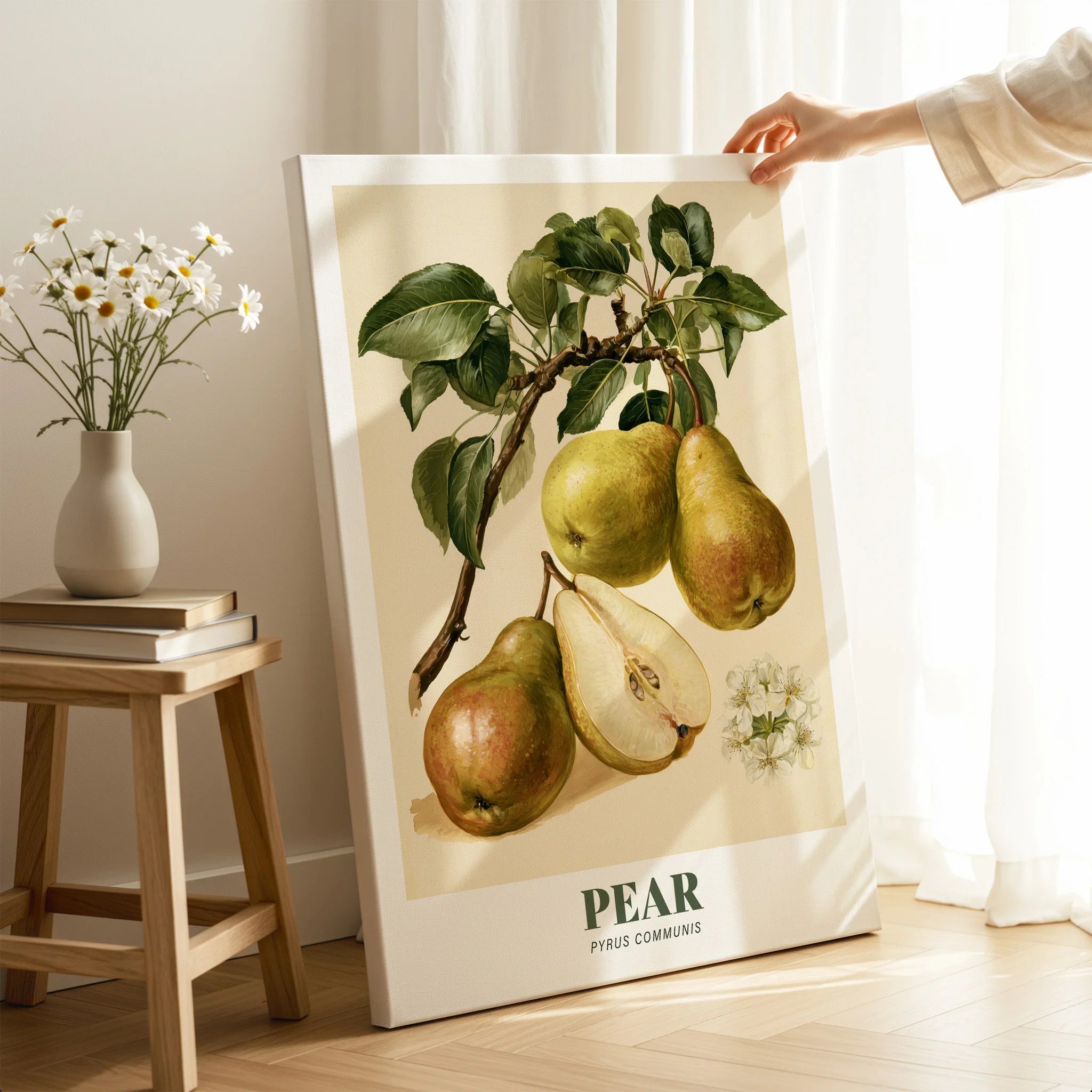 Pear Botanical Kitchen Wall Art - canvas print mirror edge hand holding room setting