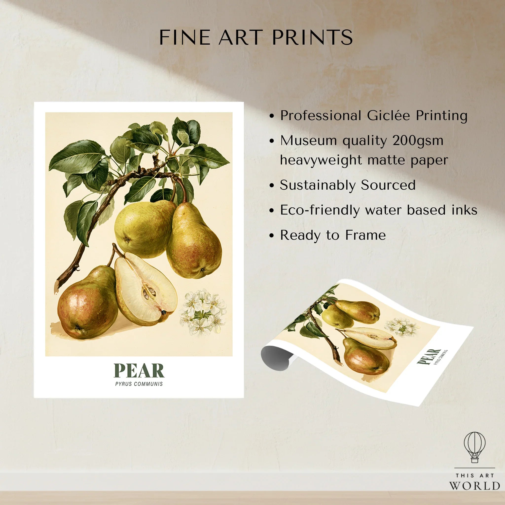 Pear Botanical Kitchen Wall Art - fine art print unframed quality details