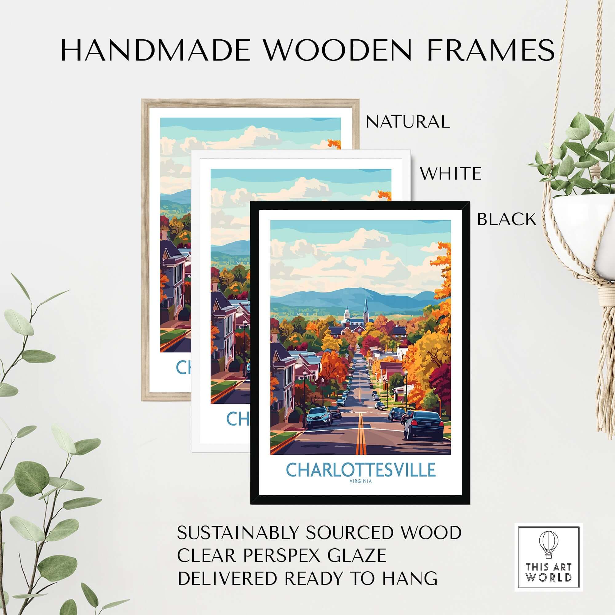 Charlottesville Virginia Art Print - Street View Poster, Fall Colors framed in handmade wooden frames in natural, white, and black finishes.