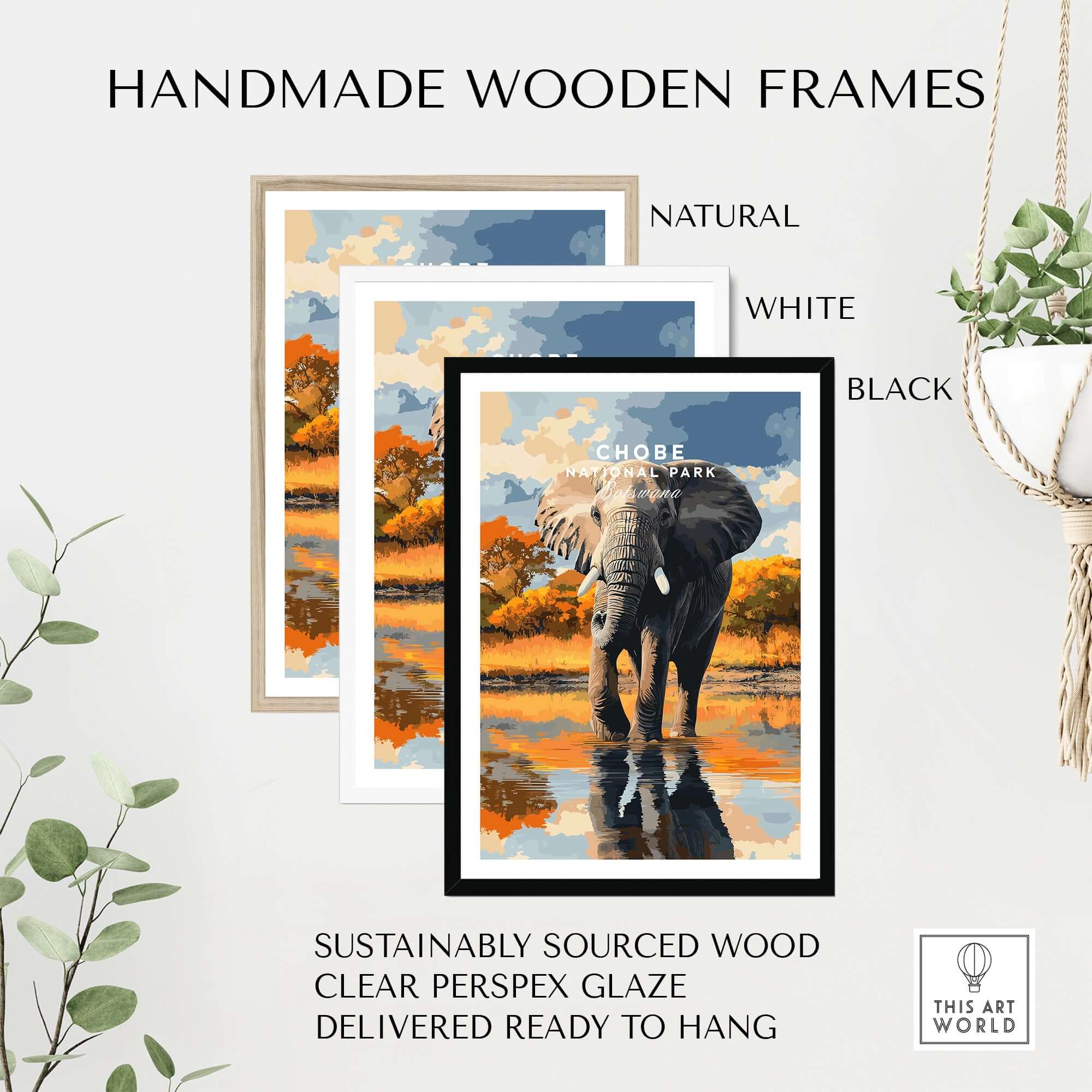 Chobe National Park Elephant Poster - Botswana Wildlife Wall Art Print framed in natural, white, and black handmade wooden frames.