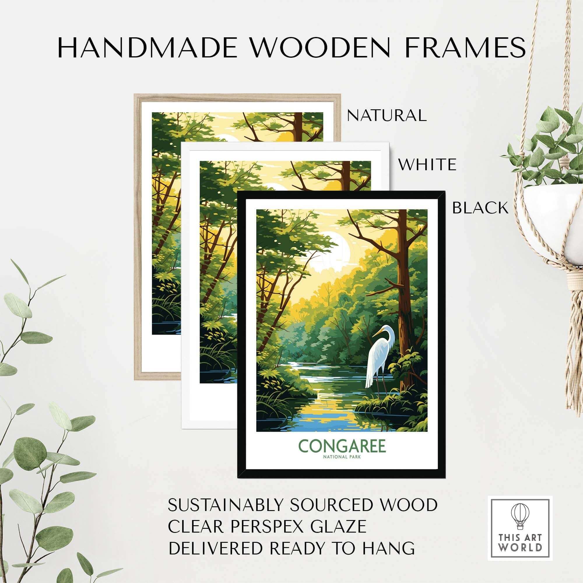 Congaree Print National Park Poster