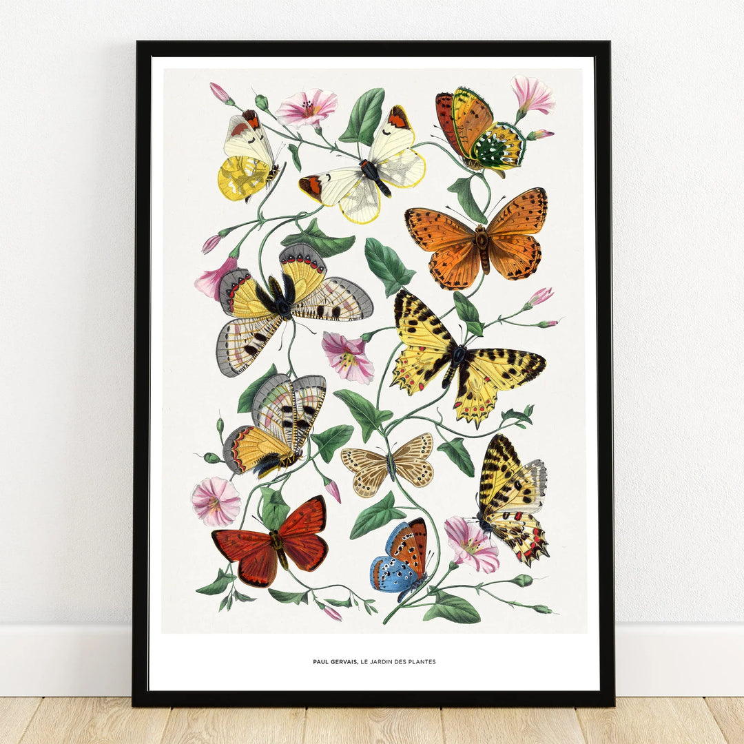 Colorful butterfly art print with botanical flowers in black frame, wall decor poster