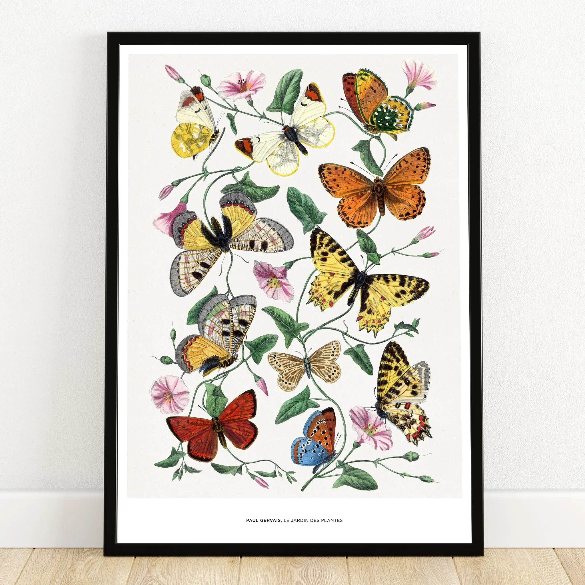 Colorful butterfly art print with botanical flowers in black frame, wall decor poster
