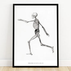 Black frame wall art print of a running human skeleton illustration, lateral view