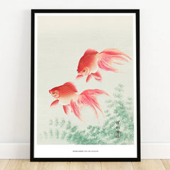 Framed wall art print of two red goldfish swimming above green plants, minimalist decor