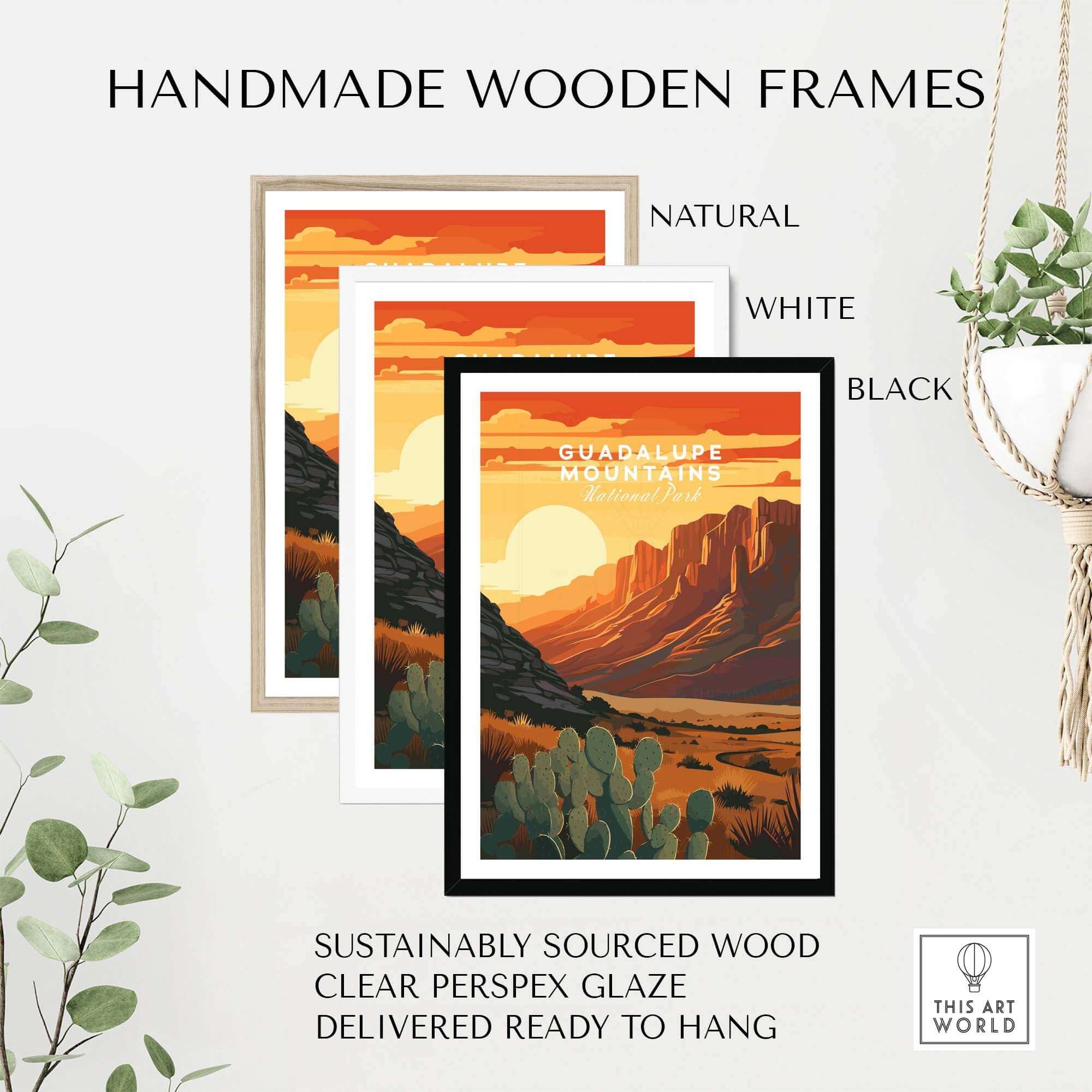Guadalupe Mountains National Park Poster