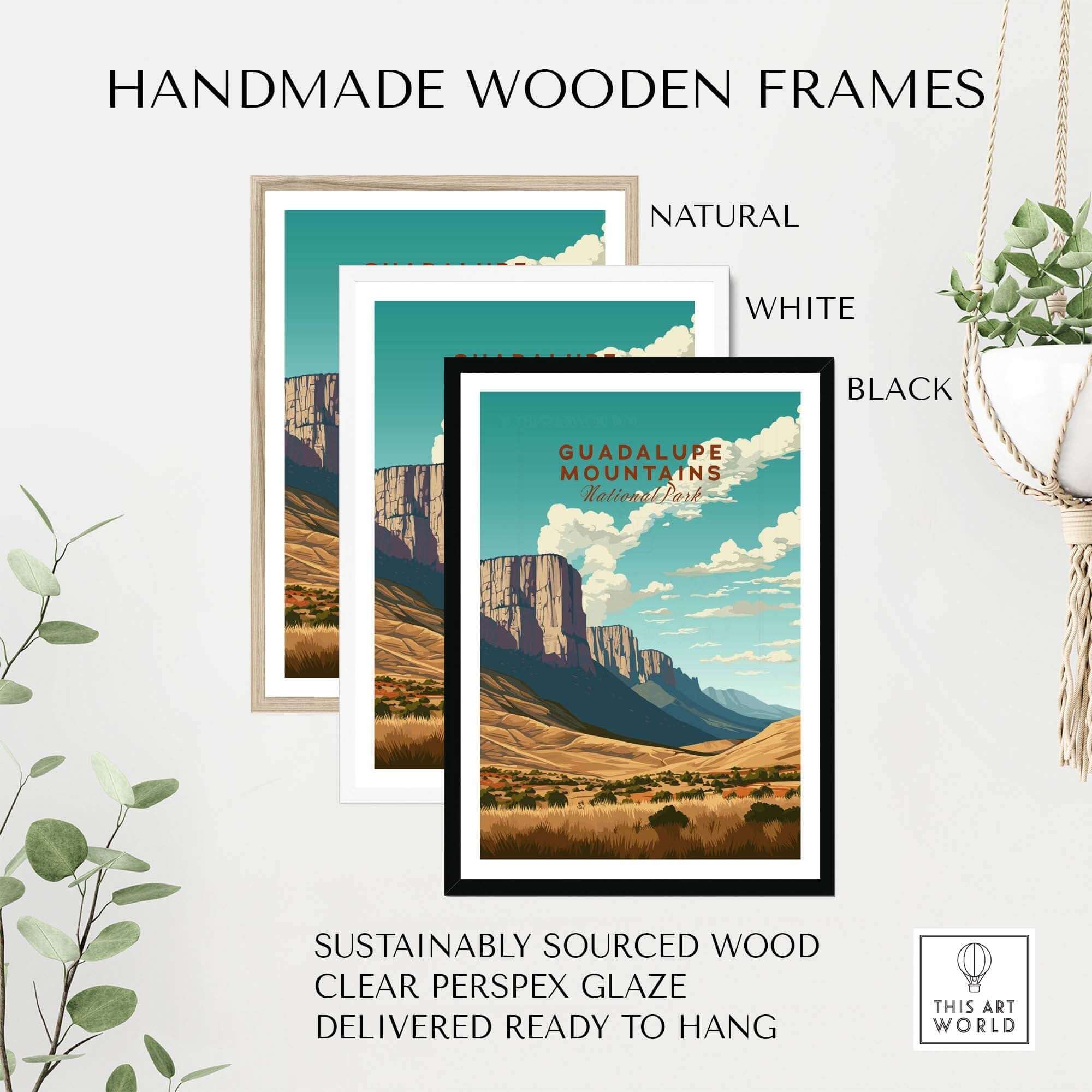 Guadalupe Mountains Poster National Park