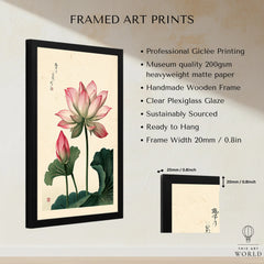 Japanese Lotus Flower Art Print – Vintage Botanical Wall Art — framed print details measurements quality details