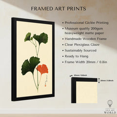 Japanese Ginkgo Leaf Print – Vintage Japan Botanical Art — framed print details measurements quality details