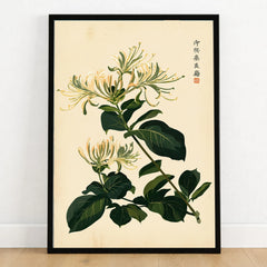 Japanese Honeysuckle Art Print – Vintage Botanical Wall Art — art print in black frame on wooden floor