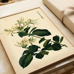 Japanese Honeysuckle Art Print – Vintage Botanical Wall Art — framed art print closeup gift unwrapped natural frame