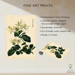 Japanese Honeysuckle Art Print – Vintage Botanical Wall Art — fine art print unframed quality details