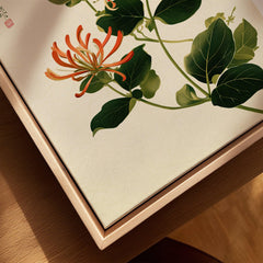 Japanese Floral Art Print – Honeysuckle Botanical Wall Art — closeup framed canvas natural wood floating frame