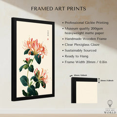 Japanese Honeysuckle Wall Art – Vintage Flower Print — framed print details measurements quality details