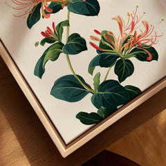 Japanese Honeysuckle Wall Art – Vintage Flower Print — closeup framed canvas natural wood floating frame