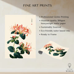 Japanese Honeysuckle Wall Art – Vintage Flower Print — fine art print unframed quality details