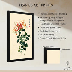 Japanese Flower Art Print – Vintage Honeysuckle Wall Art — framed print details measurements quality details
