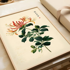 Japanese Flower Art Print – Vintage Honeysuckle Wall Art — framed art print closeup gift unwrapped natural frame