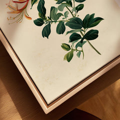 Japanese Flower Art Print – Vintage Honeysuckle Wall Art — closeup framed canvas natural wood floating frame