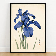 Japanese Iris Flower Art Print – Vintage Botanical Wall Art — art print in black frame on wooden floor