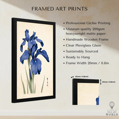 Japanese Iris Flower Art Print – Vintage Botanical Wall Art — framed print details measurements quality details